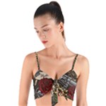 Seamless Vector Pattern Woven Tie Front Bralet