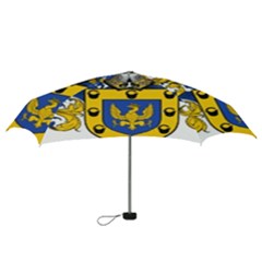 Mini Folding Umbrella 