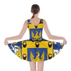 Skater Dress 