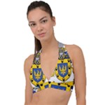 Soto Coat of Arm Halter Plunge Bikini Top