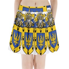 Soto Coat of Arm Pleated Mini Skirt from ArtsNow.com