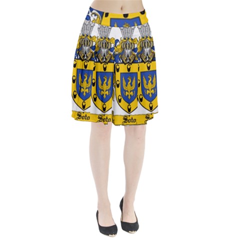 Soto Coat of Arm Pleated Skirt from ArtsNow.com