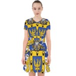 Soto Coat of Arm Adorable in Chiffon Dress