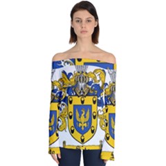 Off Shoulder Long Sleeve Top 