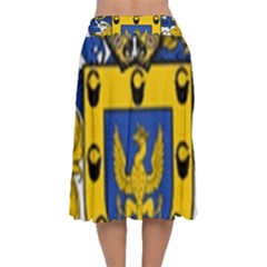 Velvet Flared Midi Skirt 