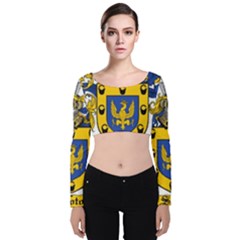Velvet Long Sleeve Crop Top 