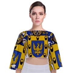 Tie Back Butterfly Sleeve Chiffon Top 