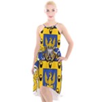 Soto Coat of Arm High-Low Halter Chiffon Dress 