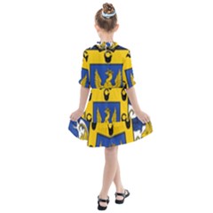 Kids  All Frills Chiffon Dress 
