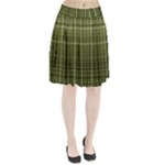 Green Madras Plaid Pleated Skirt