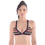 Seventies Stripes Plunge Bikini Top