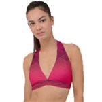 Hot Pink and Wine Color Diamonds Halter Plunge Bikini Top