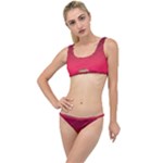 Hot Pink and Wine Color Diamonds The Little Details Bikini Set