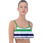 Green With Blue Stripes Frill Bikini Top