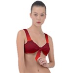 Scarlet Red Ombre Gradient Front Tie Bikini Top