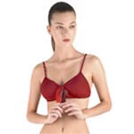 Scarlet Red Ombre Gradient Tie Up Cut Bikini Top