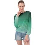 Biscay Green Gradient Ombre Banded Bottom Chiffon Top