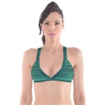 Biscay Green Ombre Plunge Bikini Top