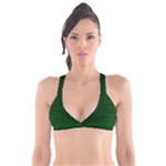 Emerald Green Ombre Plunge Bikini Top