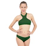 Emerald Green Ombre High Neck Bikini Set
