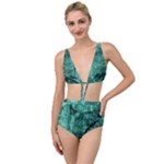 Biscay Green Black Textured Tied Up Two Piece Swimsuit