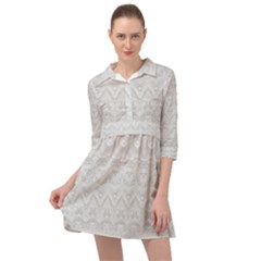 Mini Skater Shirt Dress 