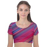 Boho Pink Blue Stripes Velvet Short Sleeve Crop Top 