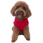 Scarlet Red Music Notes Dog Sweater