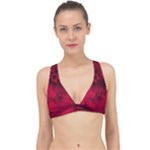 Scarlet Red Floral Print Classic Banded Bikini Top