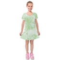 Kids  Short Sleeve Velvet Dress 