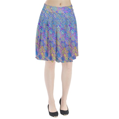 Boho Retro Wildflower Print Pleated Skirt from ArtsNow.com
