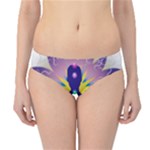 Chakra Hipster Bikini Bottoms