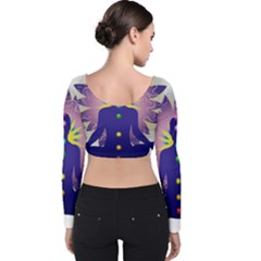 Velvet Long Sleeve Crop Top 
