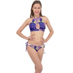 Chakra Cross Front Halter Bikini Set