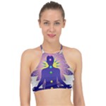 Chakra Racer Front Bikini Top