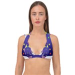 Chakra Double Strap Halter Bikini Top