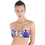 Chakra Twist Bandeau Bikini Top