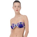 Chakra Classic Bandeau Bikini Top 