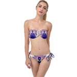 Chakra Twist Bandeau Bikini Set