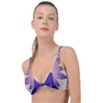 Chakra Knot Up Bikini Top