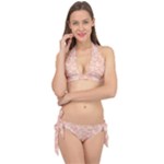 Peaches and Cream Butterfly Print Tie It Up Bikini Set