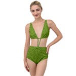 Avocado Green Butterfly Print Tied Up Two Piece Swimsuit