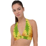 Lemon Lime Tie Dye Halter Plunge Bikini Top