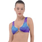Purple Blue Swirls and Spirals Ring Detail Bikini Top