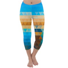 Capri Winter Leggings Front Capri Winter Leggings Front