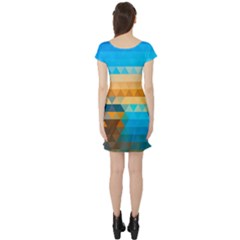 Short Sleeve Skater Dress Back