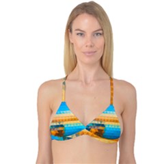 Reversible Tri Bikini Top 