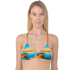 Reversible Tri Bikini Top 