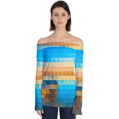 Off Shoulder Long Sleeve Top 