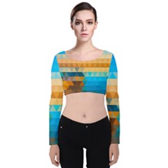 Velvet Long Sleeve Crop Top 